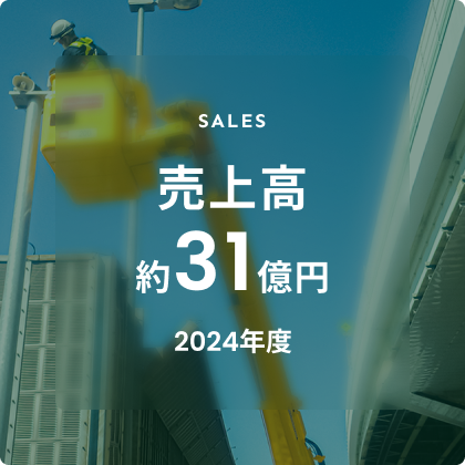 売上高約31億円